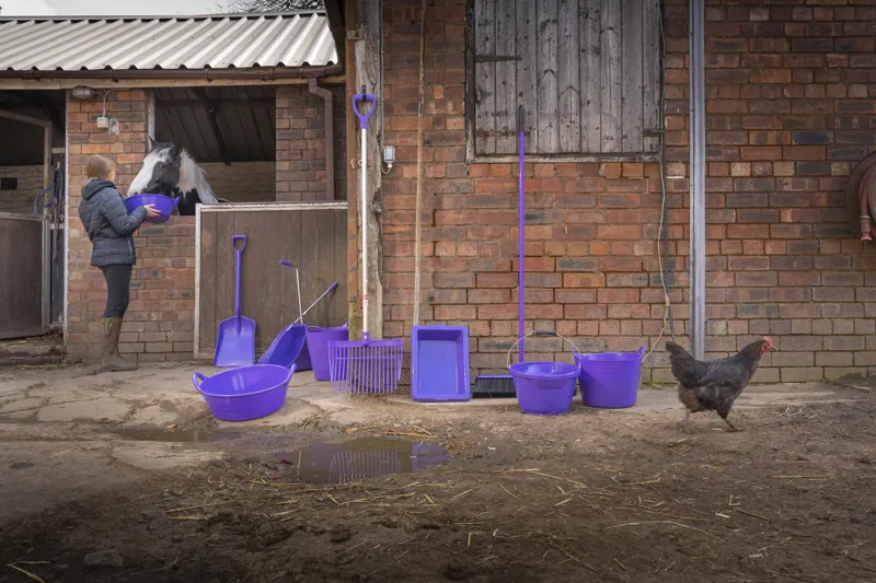 revolutionised stable management