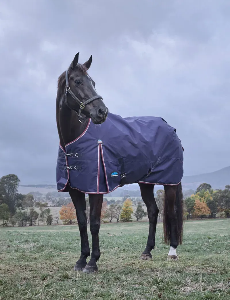 Weatherbeeta 220g ComFiTec Essential Turnout in Navy/Burgundy-4