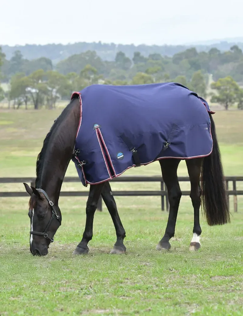 Weatherbeeta 220g ComFiTec Essential Turnout in Navy/Burgundy-1