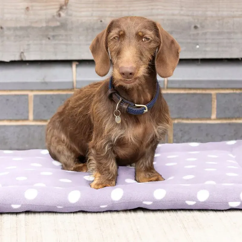 Supreme Products Dotty Fleece Dog Bed in Lilac