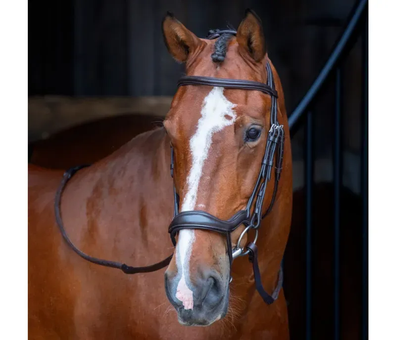 Velociti Ergonomic Flash Bridle in Havana