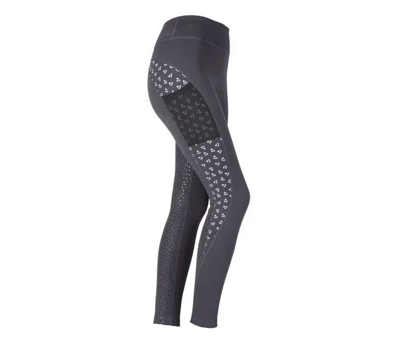Aubrion Coombe Riding Tights in Reflective