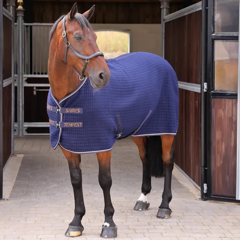 Tempest Original Tech Cooler Rug in Ink