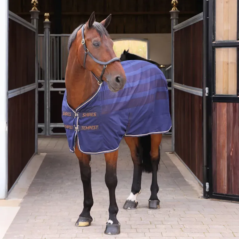 Tempest Original Scrim Cooler Rug in Ink