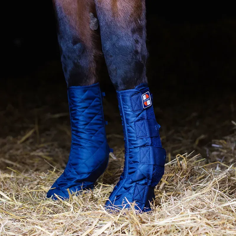 Equilibrium Medium Wide Equi-Chaps Stable Chaps in Blue 