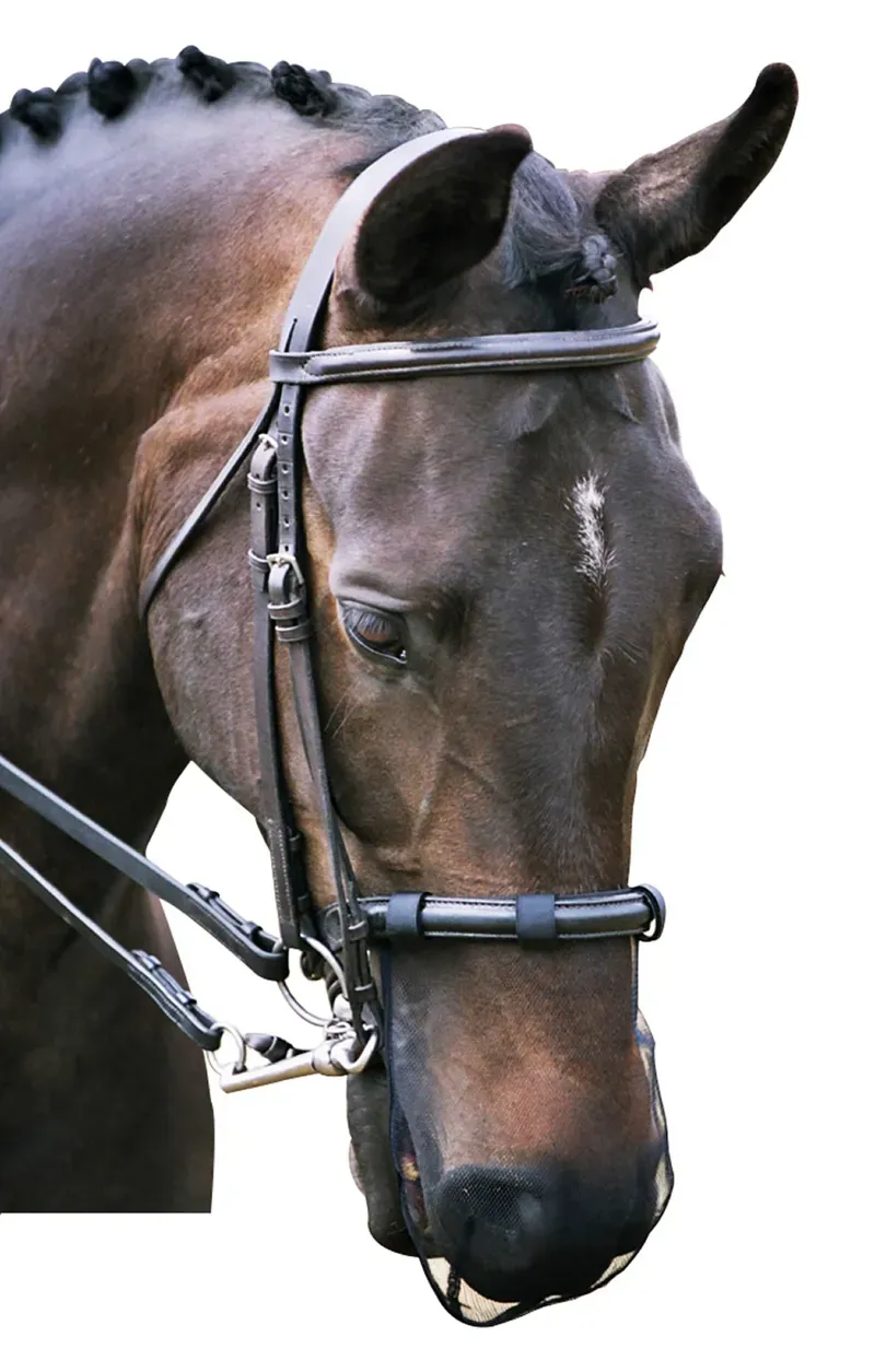 Equilibrium Net Relief Cavesson Muzzle Nets - BLACK