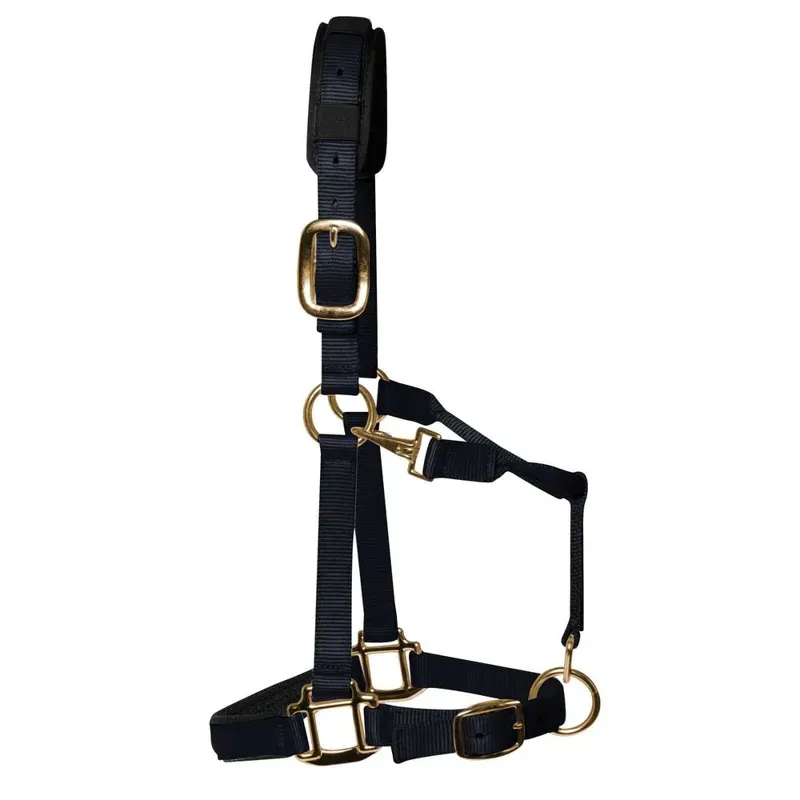 KM Elite Padded Headcollar in Black