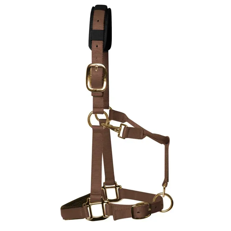 KM Elite Padded Headcollar in Brown