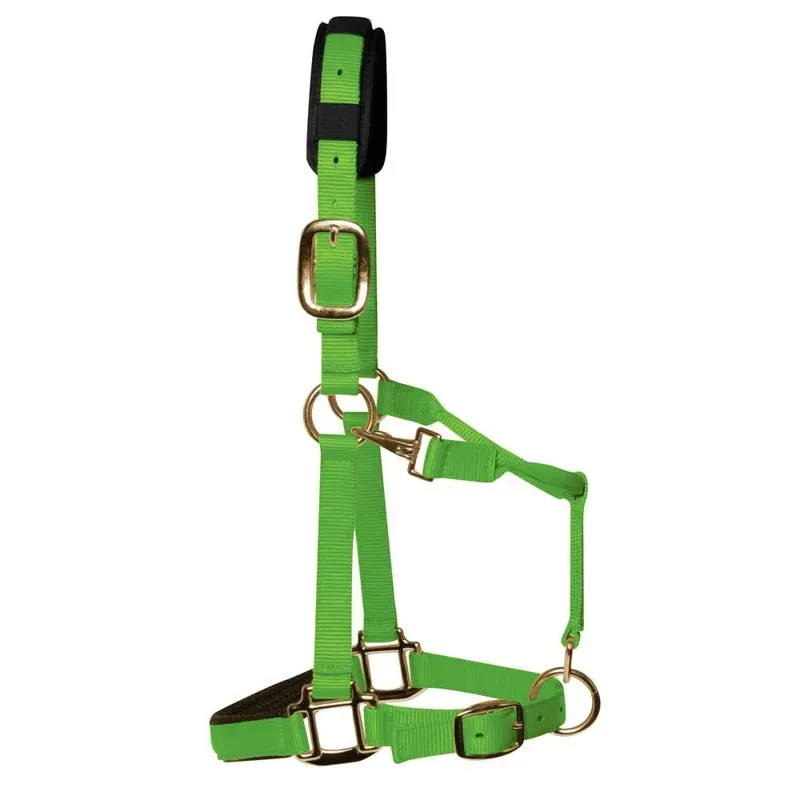 KM Elite Padded Headcollar in Hot Green