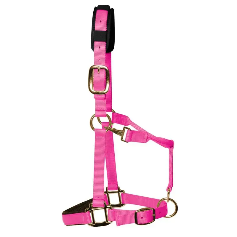 KM Elite Padded Headcollar in Hot Pink