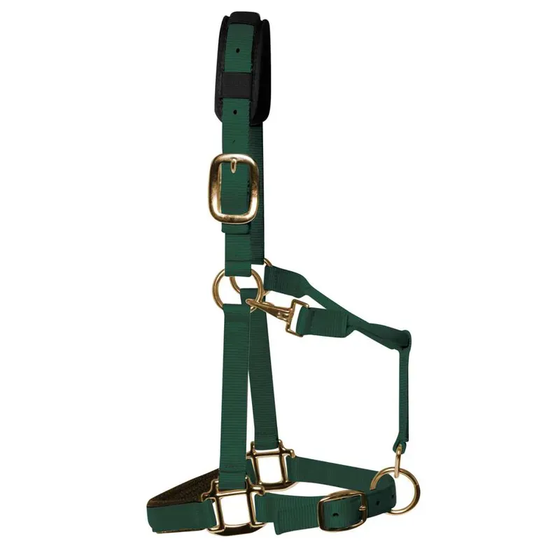 KM Elite Padded Headcollar in Hunter Green