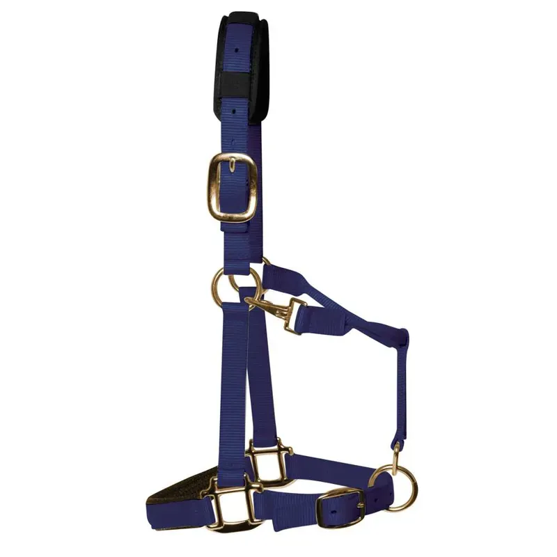KM Elite Padded Headcollar in Navy