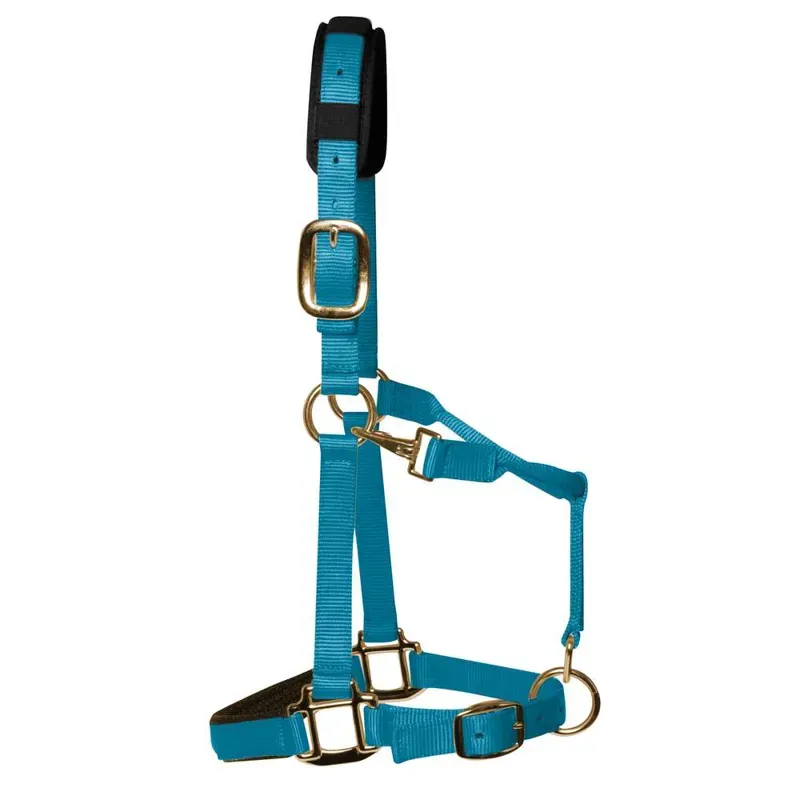 KM Elite Padded Headcollar in Pastel Blue