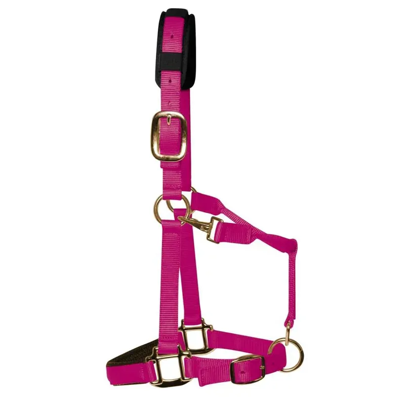 KM Elite Padded Headcollar in Raspberry