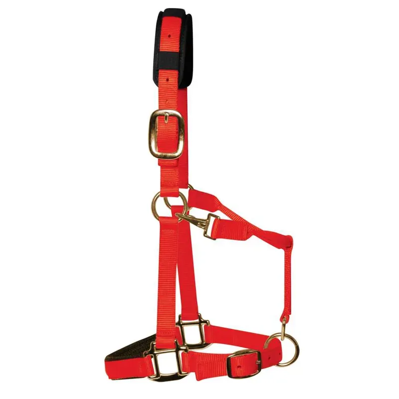 KM Elite Padded Headcollar in Red