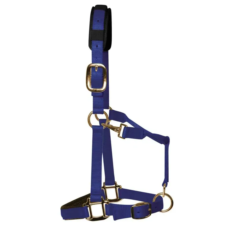 KM Elite Padded Headcollar in Royal Blue