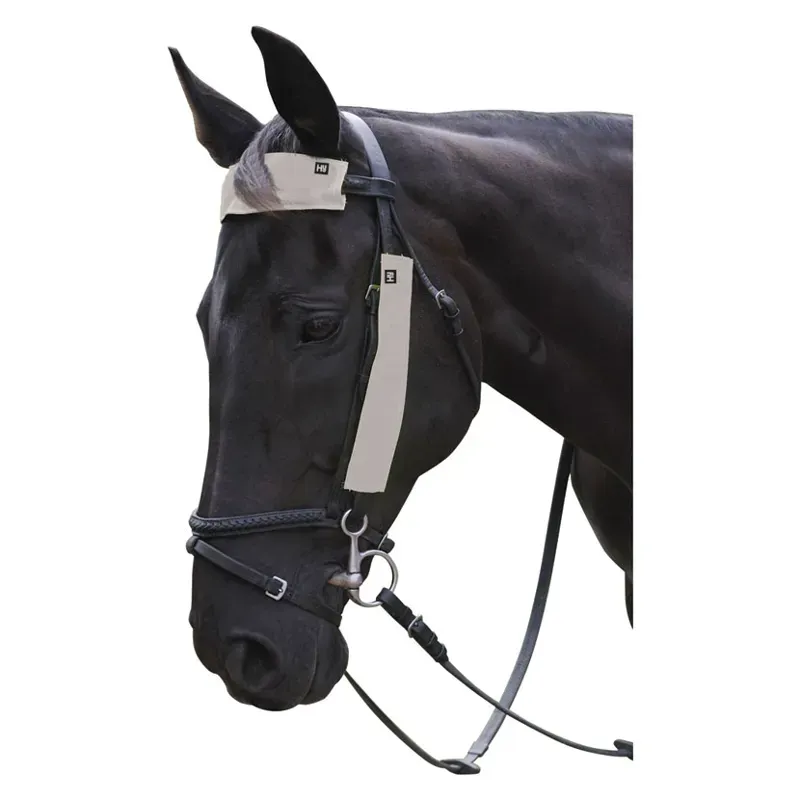 Hy Equestrian Silva Flash Reflective Bridle Set in Reflective Silver