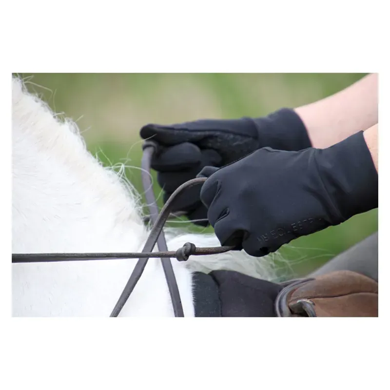 Hy Equestrian Snowstorm Riding And General Glove in Black-1