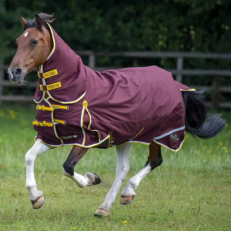 Gallop Trojan Xtra 200g Combo Turnout - Burgundy
