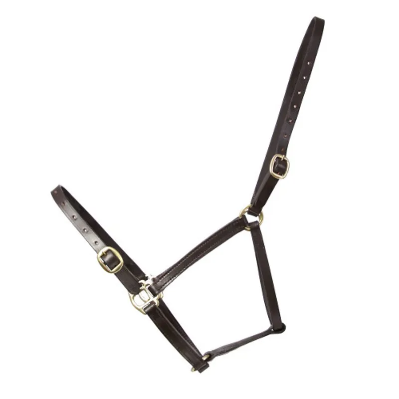 Hy Equestrian Leather Foal Head Collar in Black-1