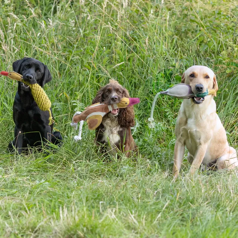 Benji and Flo Country Dog Toys - Drake the Duck-1