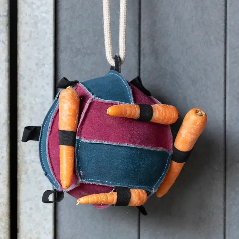 Hy Equestrian Stable Toy - The Food Ball-1