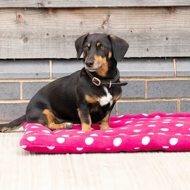 Supreme Products Dotty Fleece Dog Bed In Paradise Pink