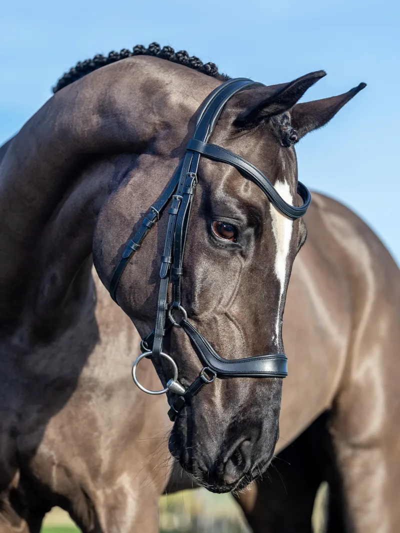 LeMieux Arika Drop Bridle Black Silver-4
