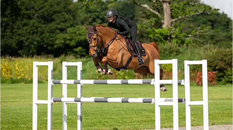 LeMieux Puissance Suede Close Contact Square Brown-1