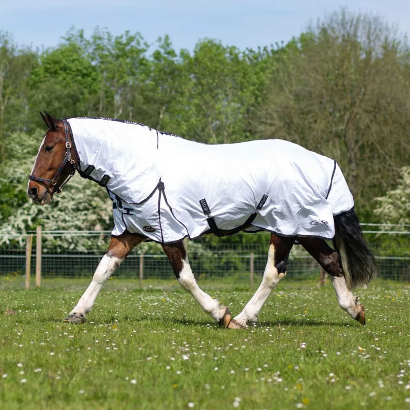 Gallop Classic Fly Rug Combo White-1