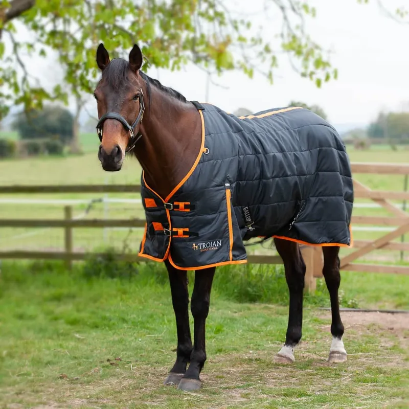 Gallop Trojan 100g Stable Rug-2