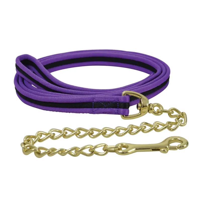 Hy Equestrian Soft Webbing Lead Rein With Chain - Purple/Black