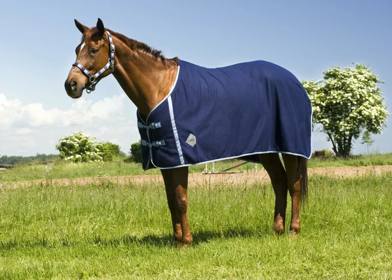 RIDING WORLD Standard Polar Fleece Sheet Rug