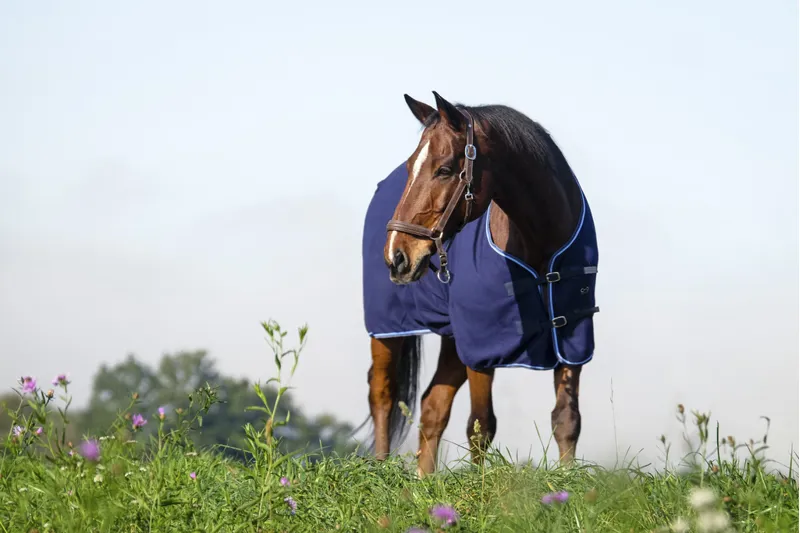 RIDING WORLD Standard Polar Fleece Sheet Rug-3