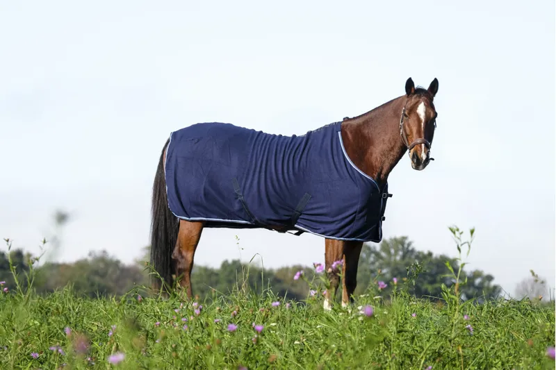 RIDING WORLD Standard Polar Fleece Sheet Rug-1