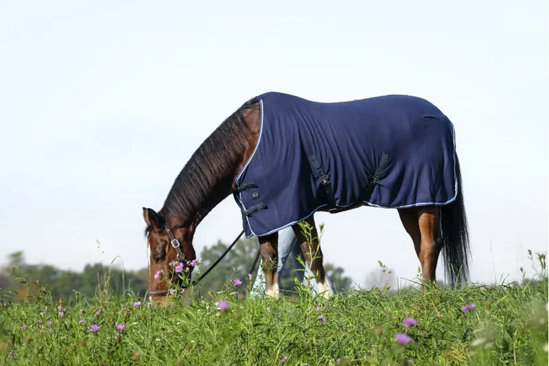 RIDING WORLD Standard Polar Fleece Sheet Rug-4