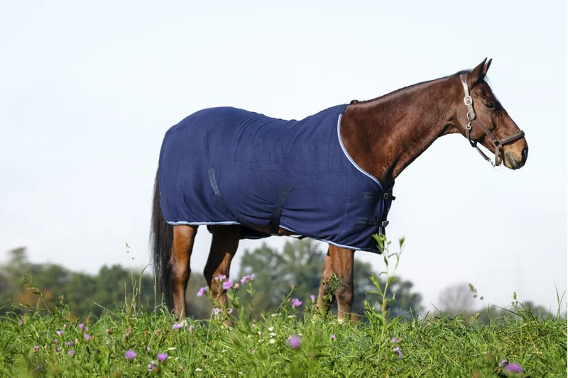 RIDING WORLD Standard Polar Fleece Sheet Rug-2