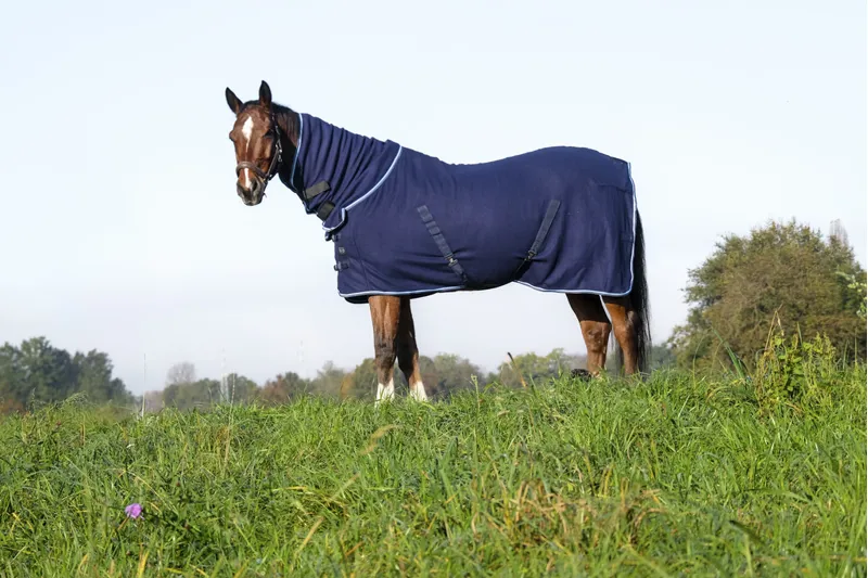 RIDING WORLD Combo Polar Fleece Sheet Rug