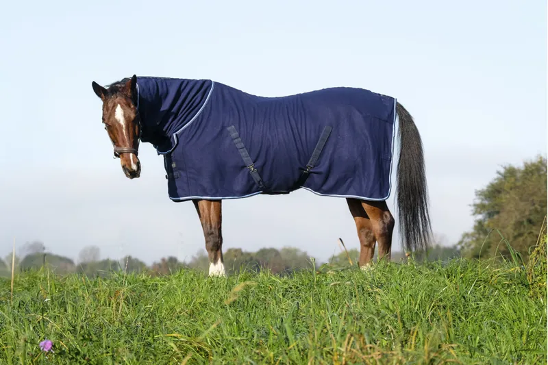RIDING WORLD Combo Polar Fleece Sheet Rug-1