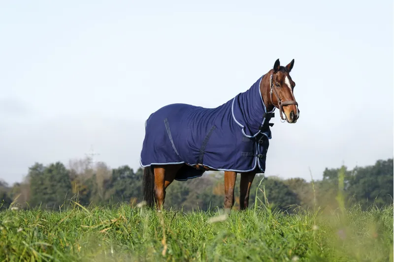 RIDING WORLD Combo Polar Fleece Sheet Rug-2