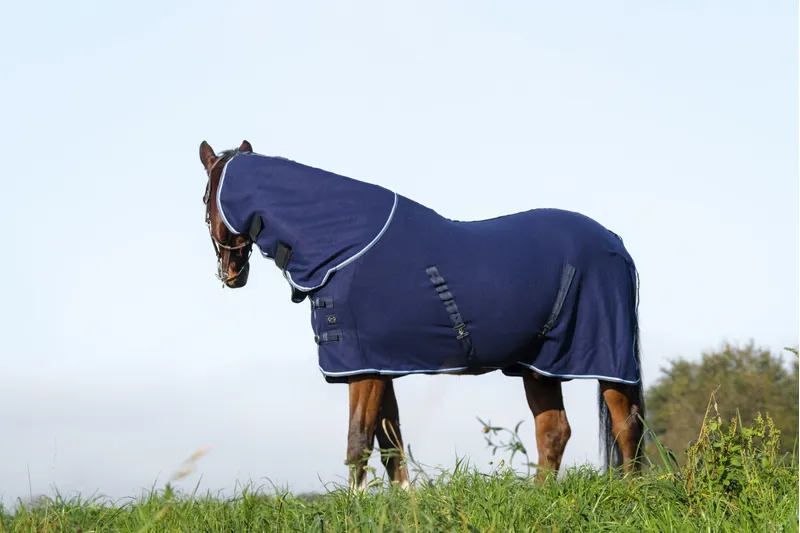 RIDING WORLD Combo Polar Fleece Sheet Rug-3