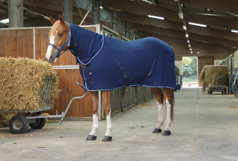 RIDING WORLD Combo Polar Fleece Sheet Rug-4