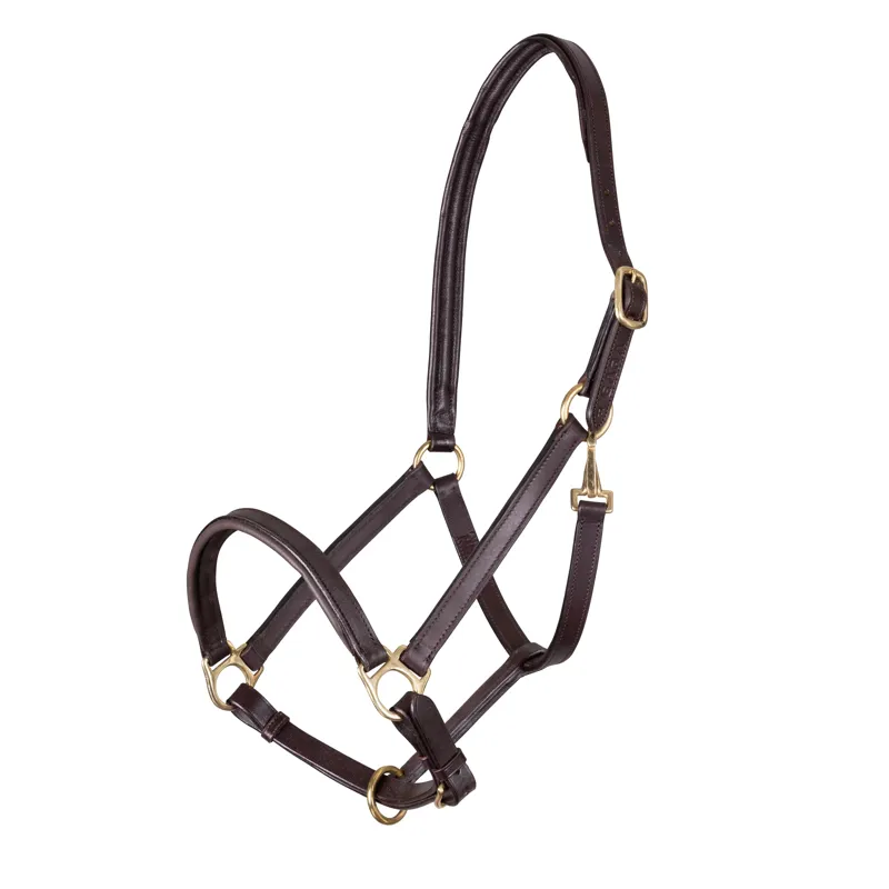 Velociti GARA Ragley Lined Leather Headcollar Havana-1