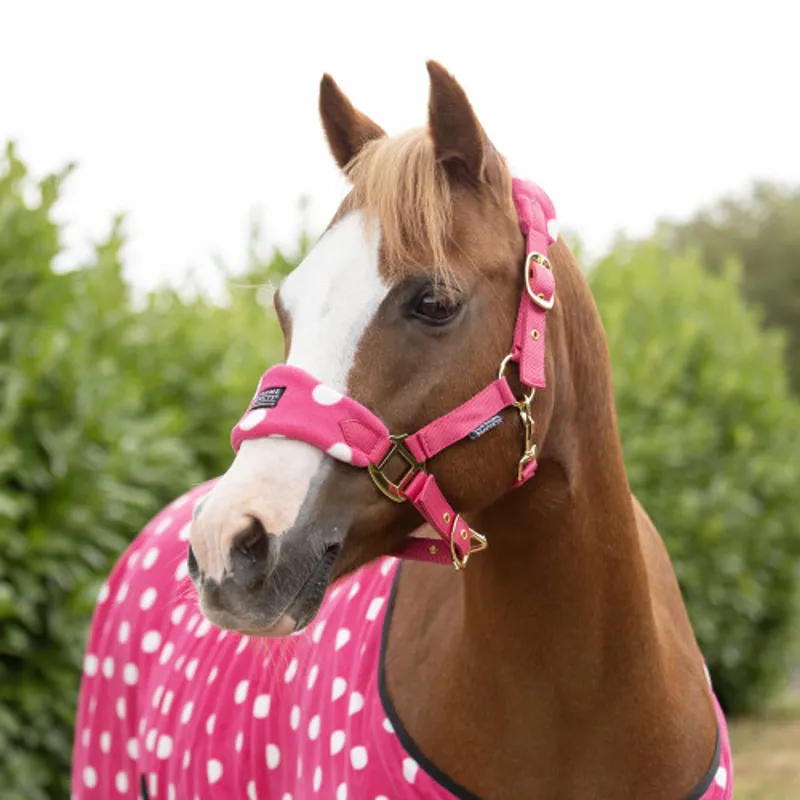 Supreme Products Dotty Fleece Head Collar and Lead Rope in Paradise Pink
