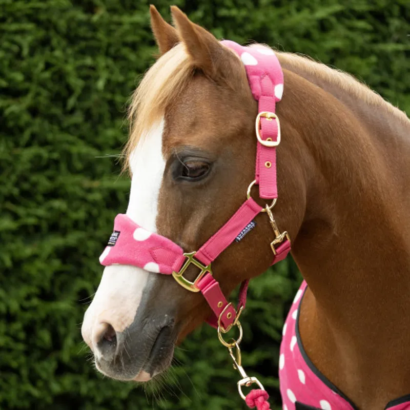 Supreme Products Dotty Fleece Head Collar and Lead Rope in Paradise Pink-1