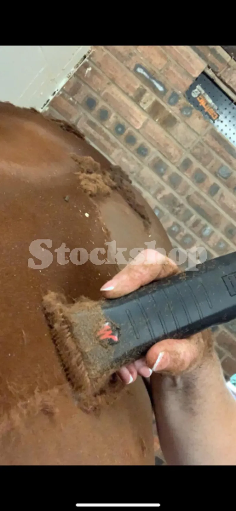 Stockshop Wolseley Jay Kit No10W 2.3mm Blades and 2x 1600 mAh Battery-1