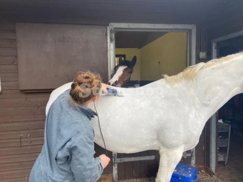 Stockshop Wolseley Lark Kit With A2M Blades in Blue-1