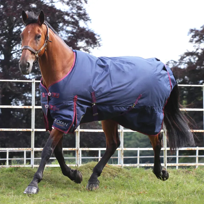 Gallop Trojan 50g Turnout - Navy-1