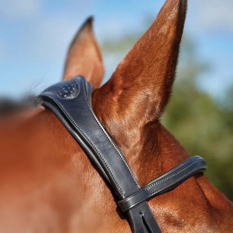 Collegiate ComFiTec Training Bridle in Black-2