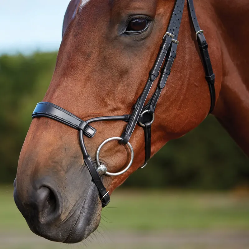 Collegiate ComFiTec Training Bridle in Black-1
